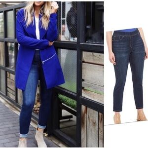 Peter Nygard Luxe Denim Stretch Skinny Jeans 2 4